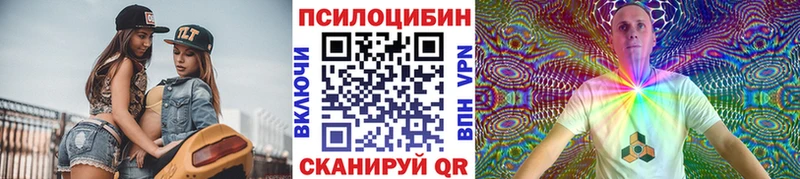 дарнет шоп Шлиссельбург Псилоцибиновые грибы GOLDEN TEACHER